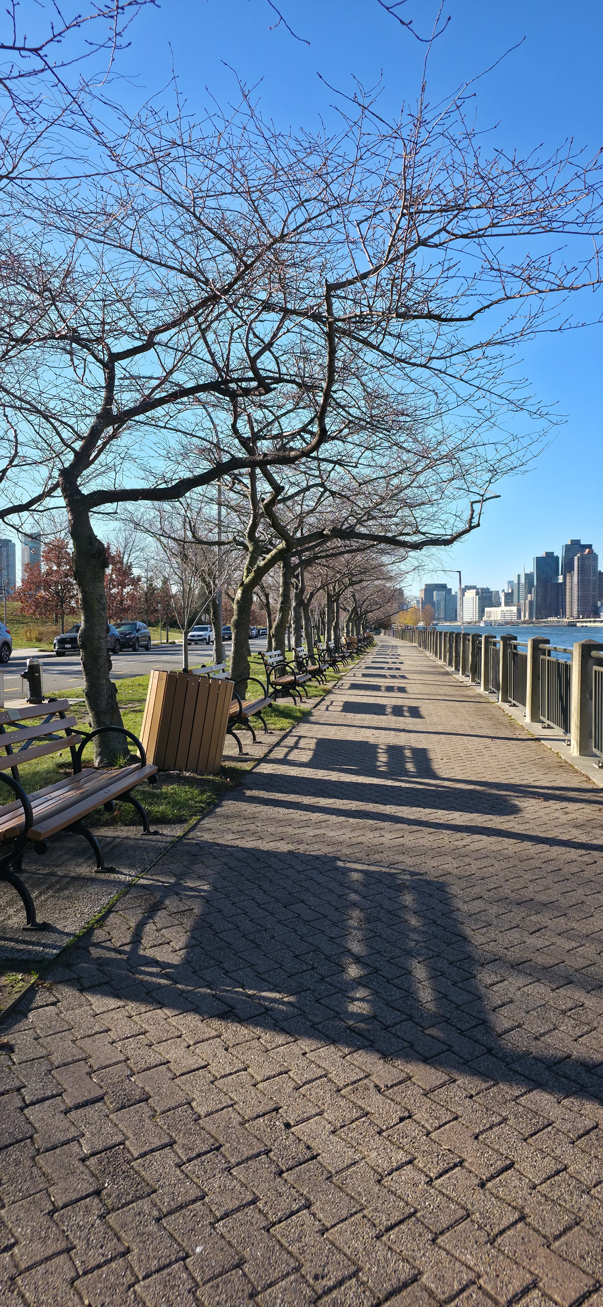 Roosevelt Island