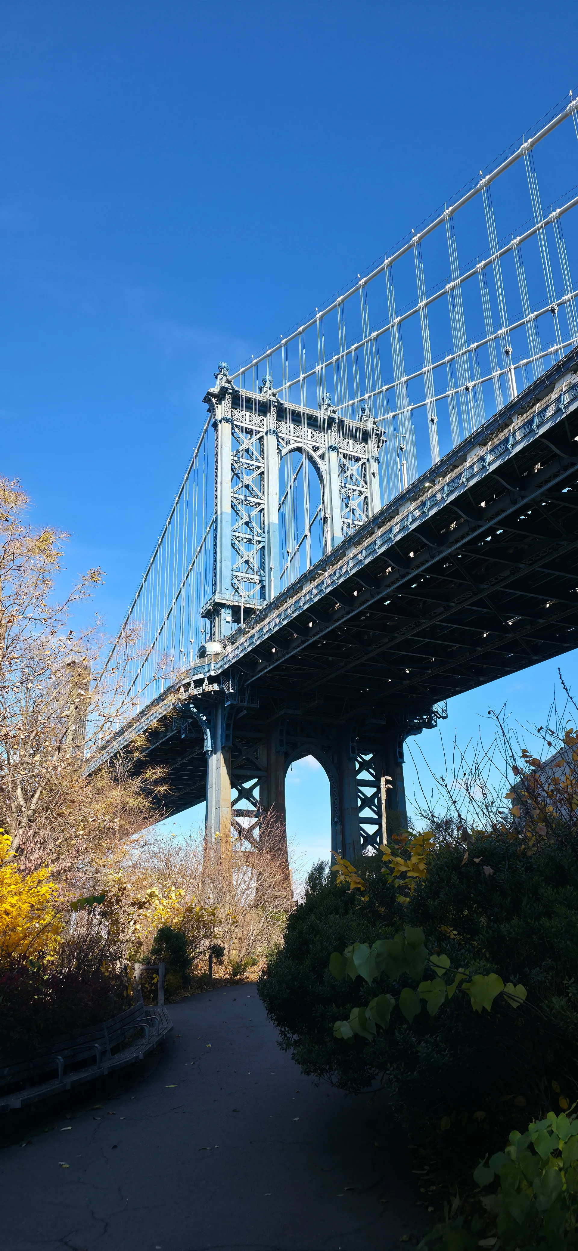 Dumbo