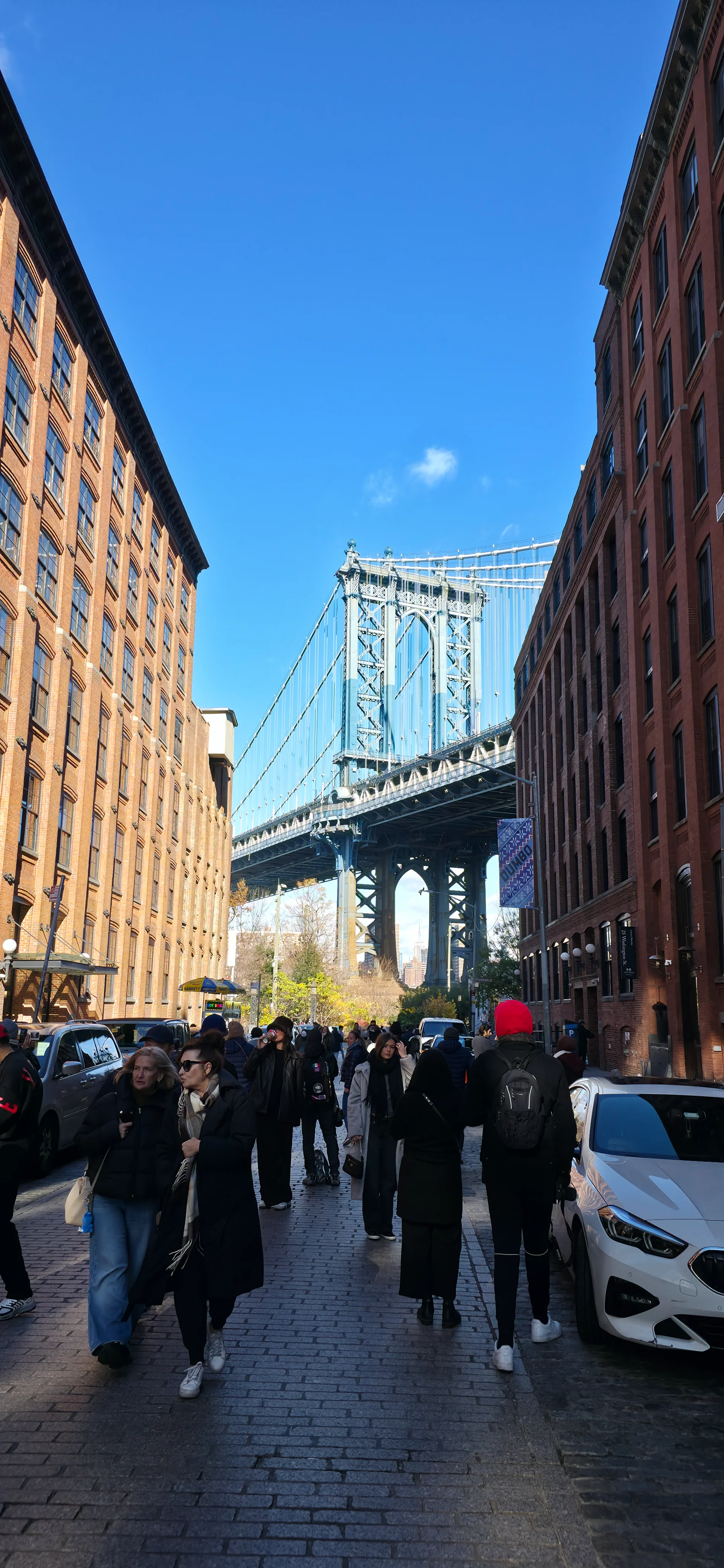 Dumbo