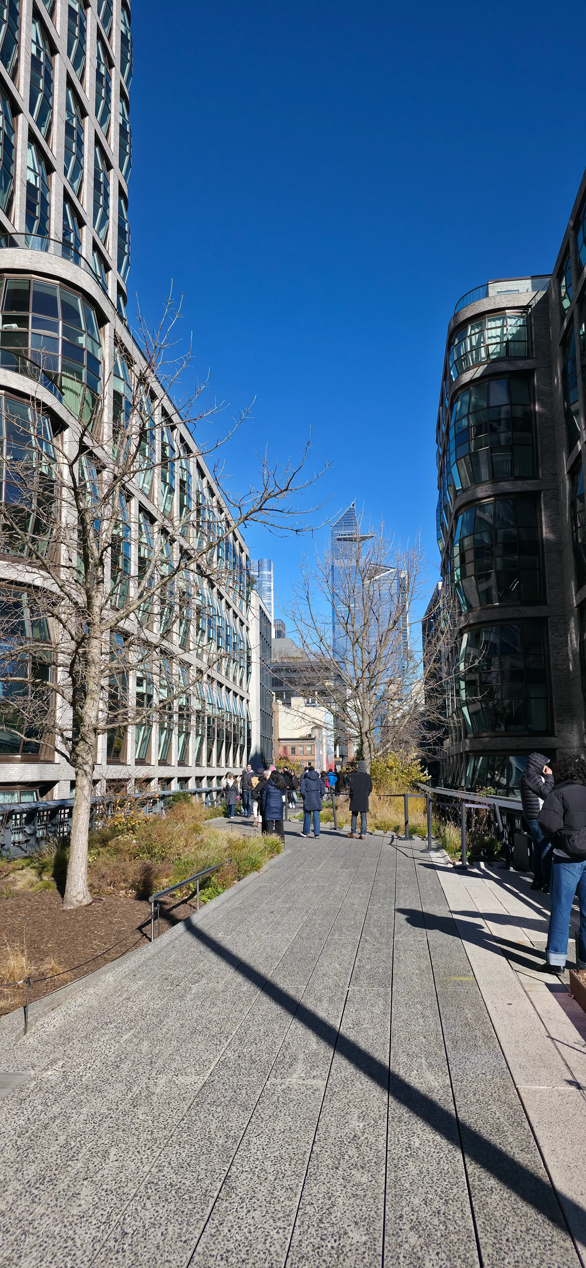 The High Line
