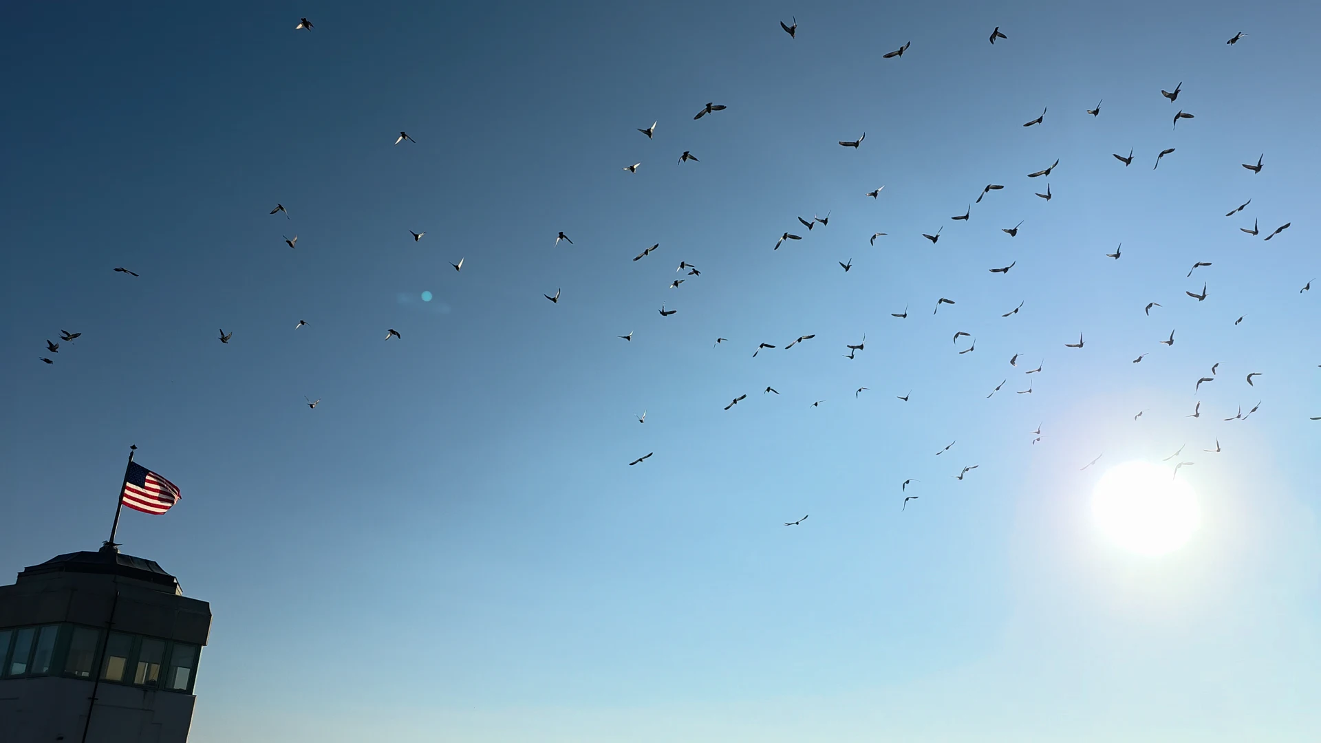 Shark River Inlet
