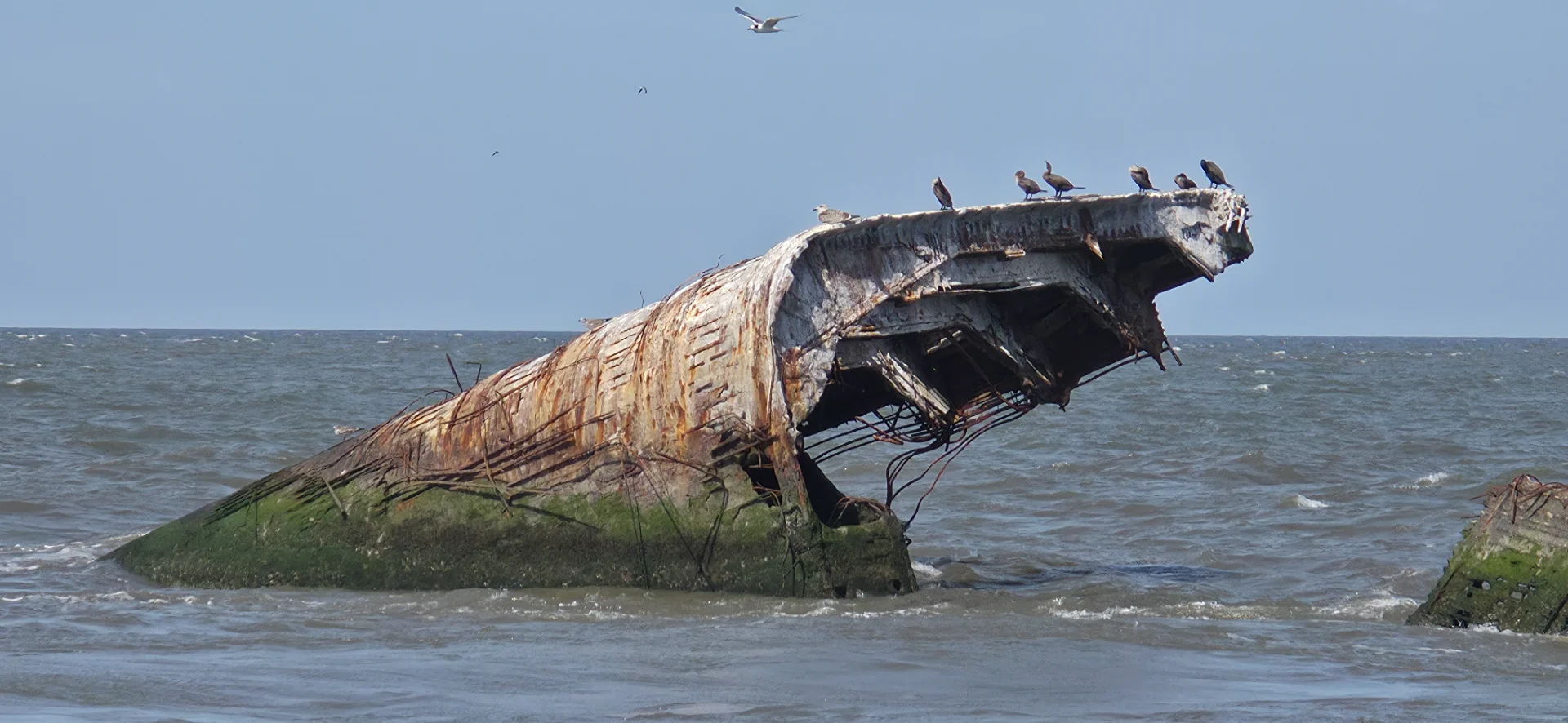 Wreck of the SS Atlantus