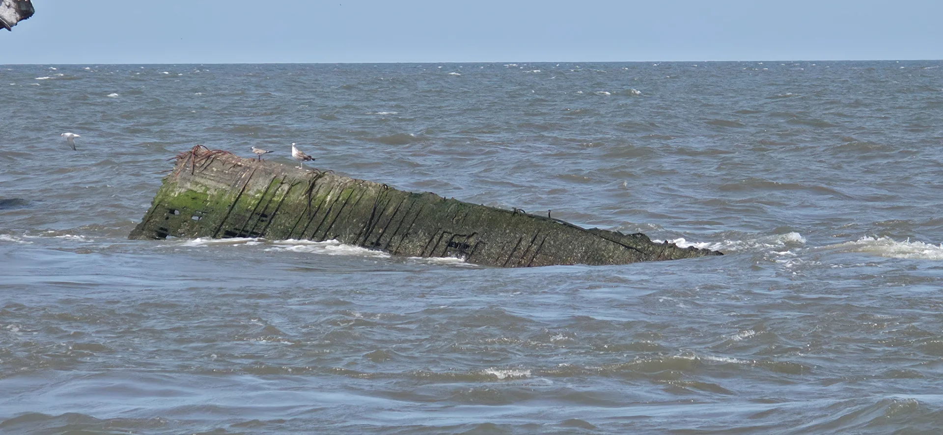 Wreck of the SS Atlantus