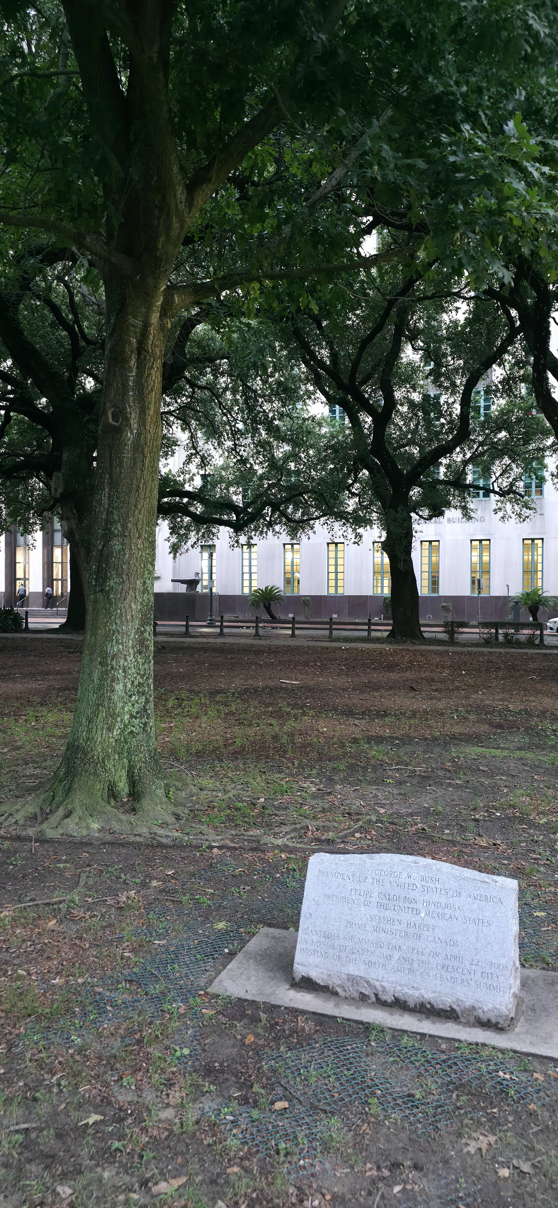 Lafayette Square