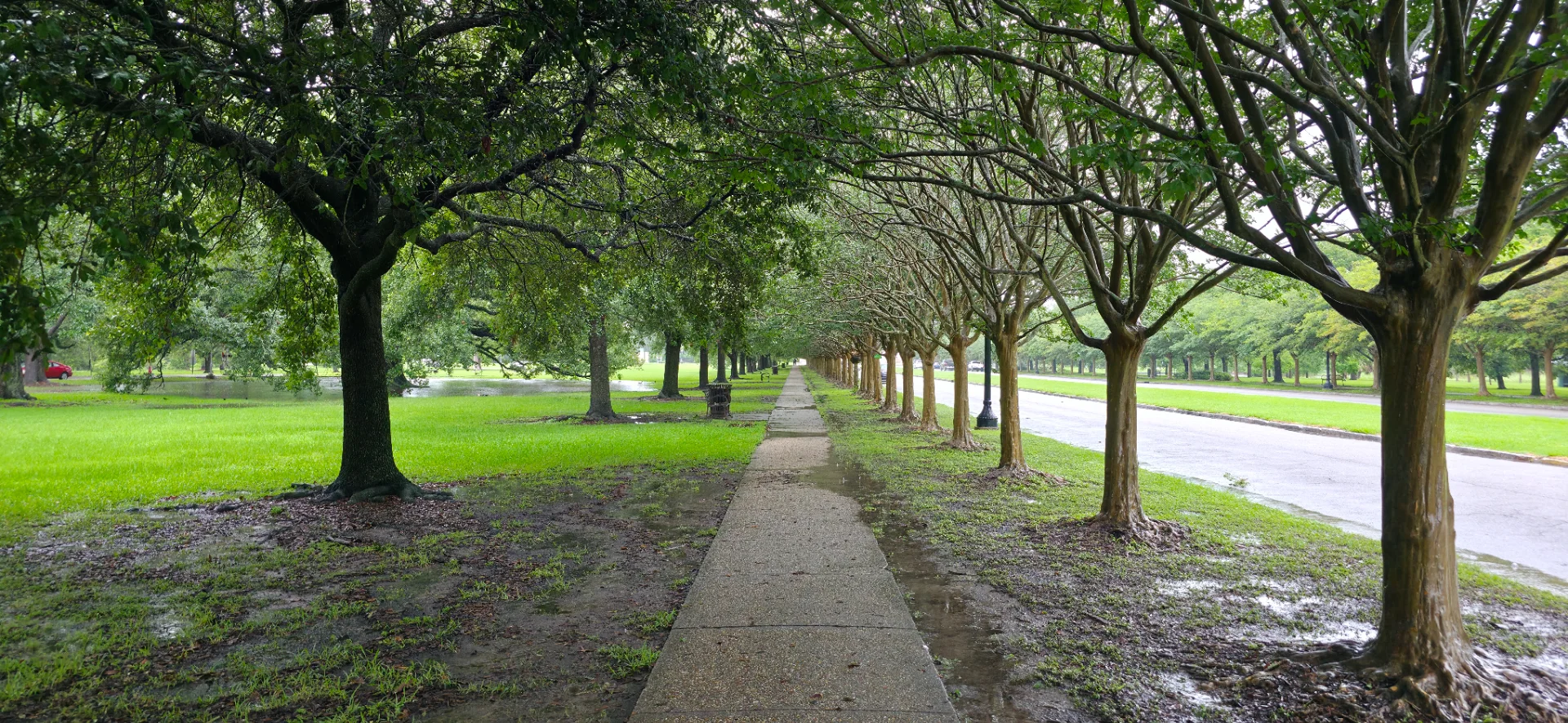 City Park