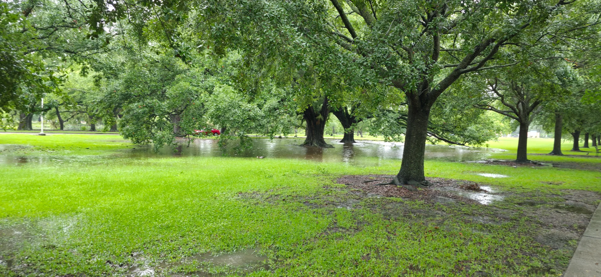 City Park