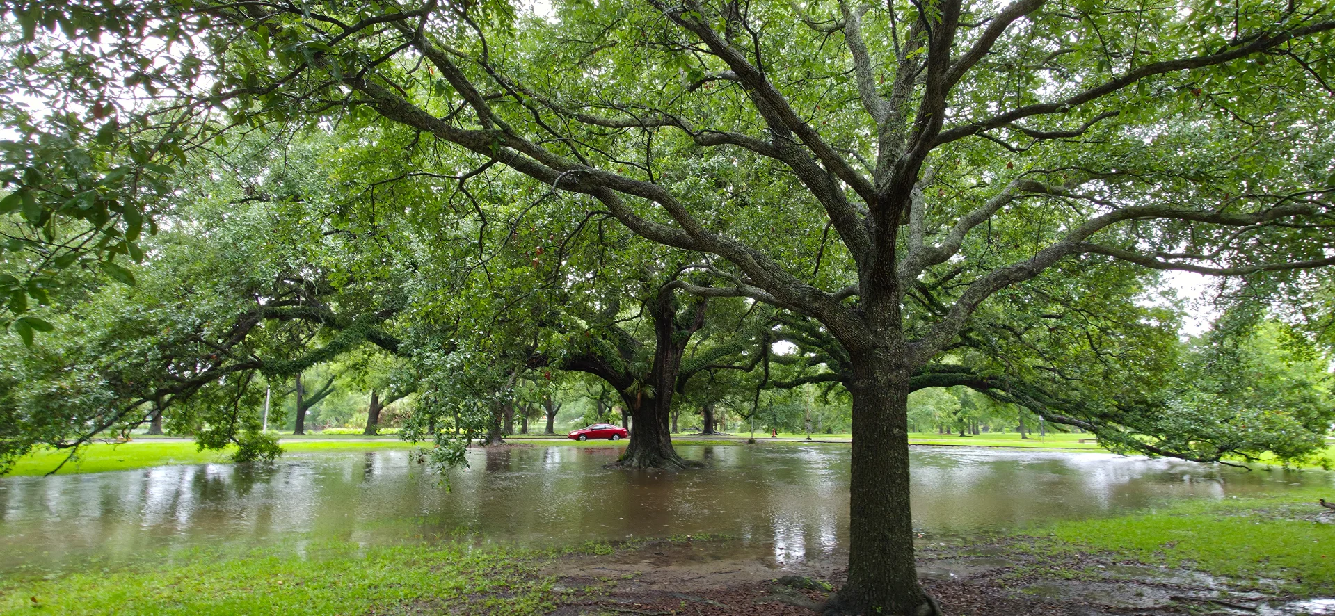 City Park