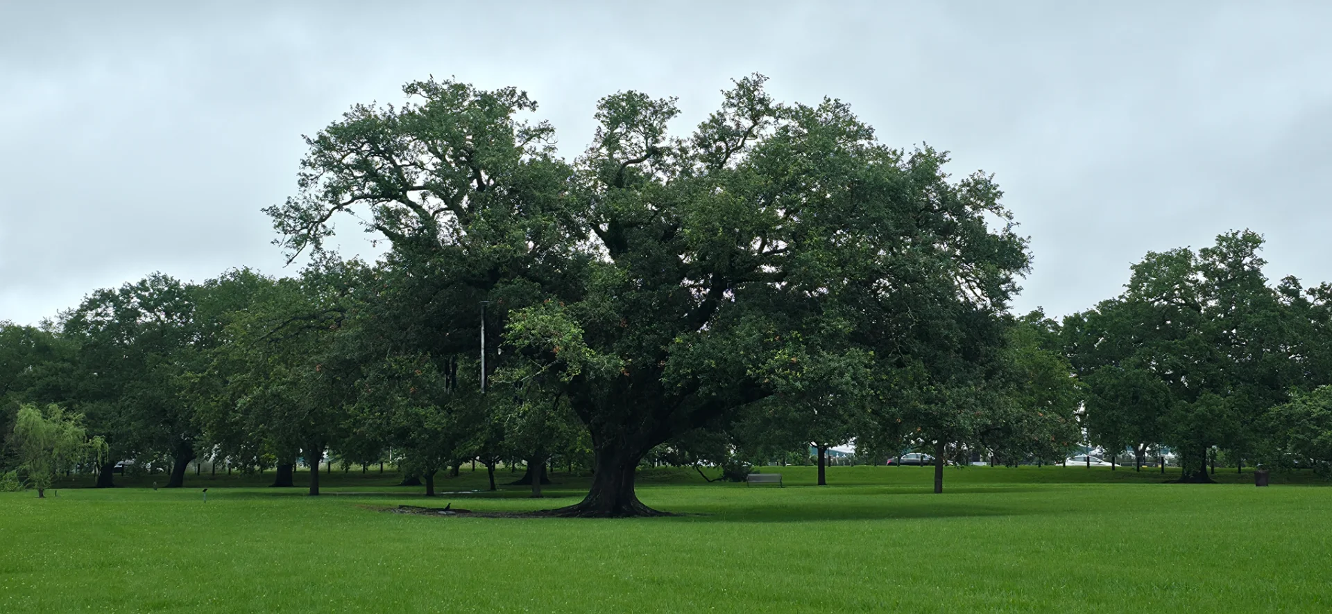 City Park